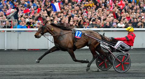 le trot|le trot for sale.